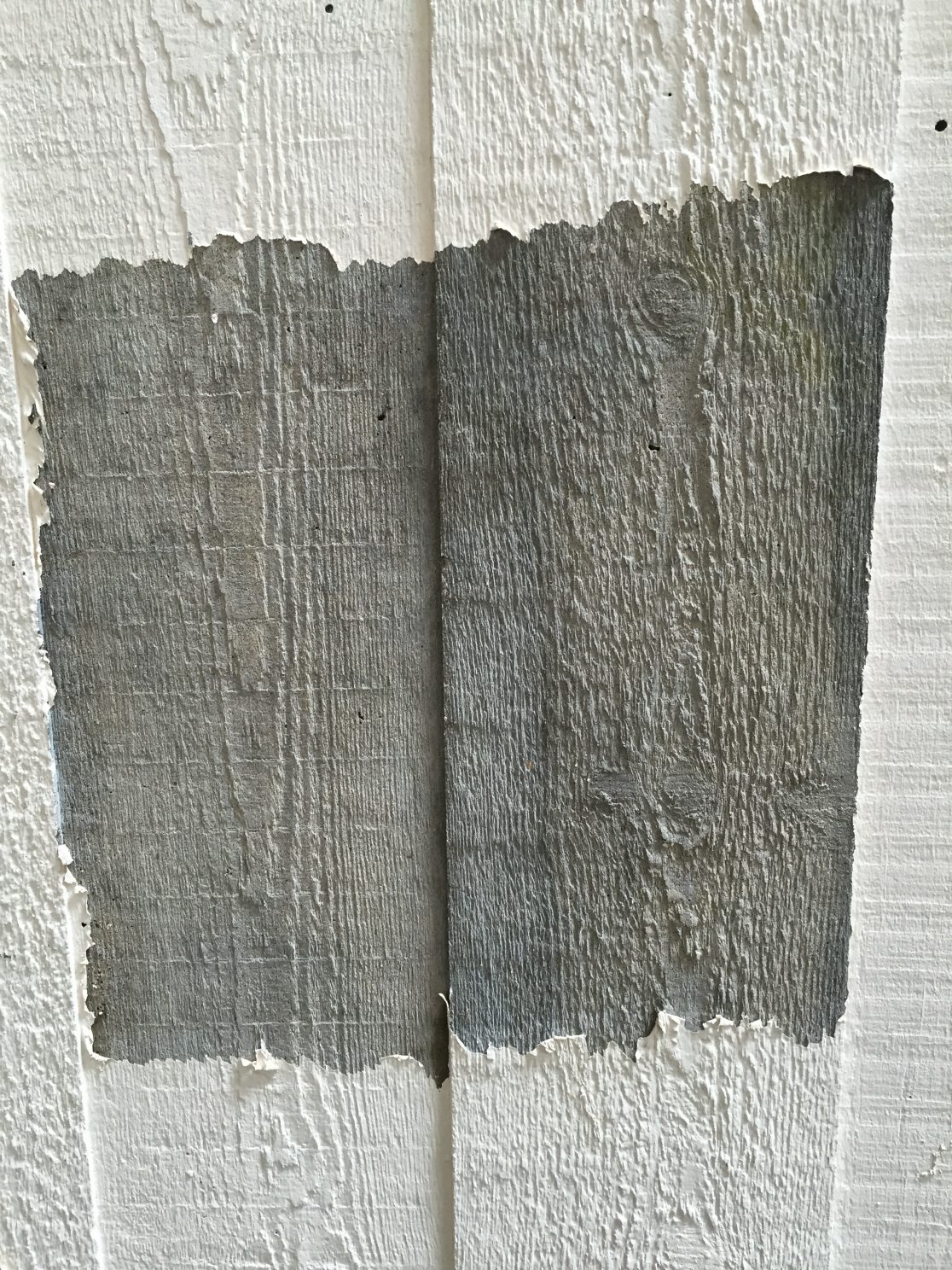 Southbank Centre DOFF Cleaning with Tensid TAVEC