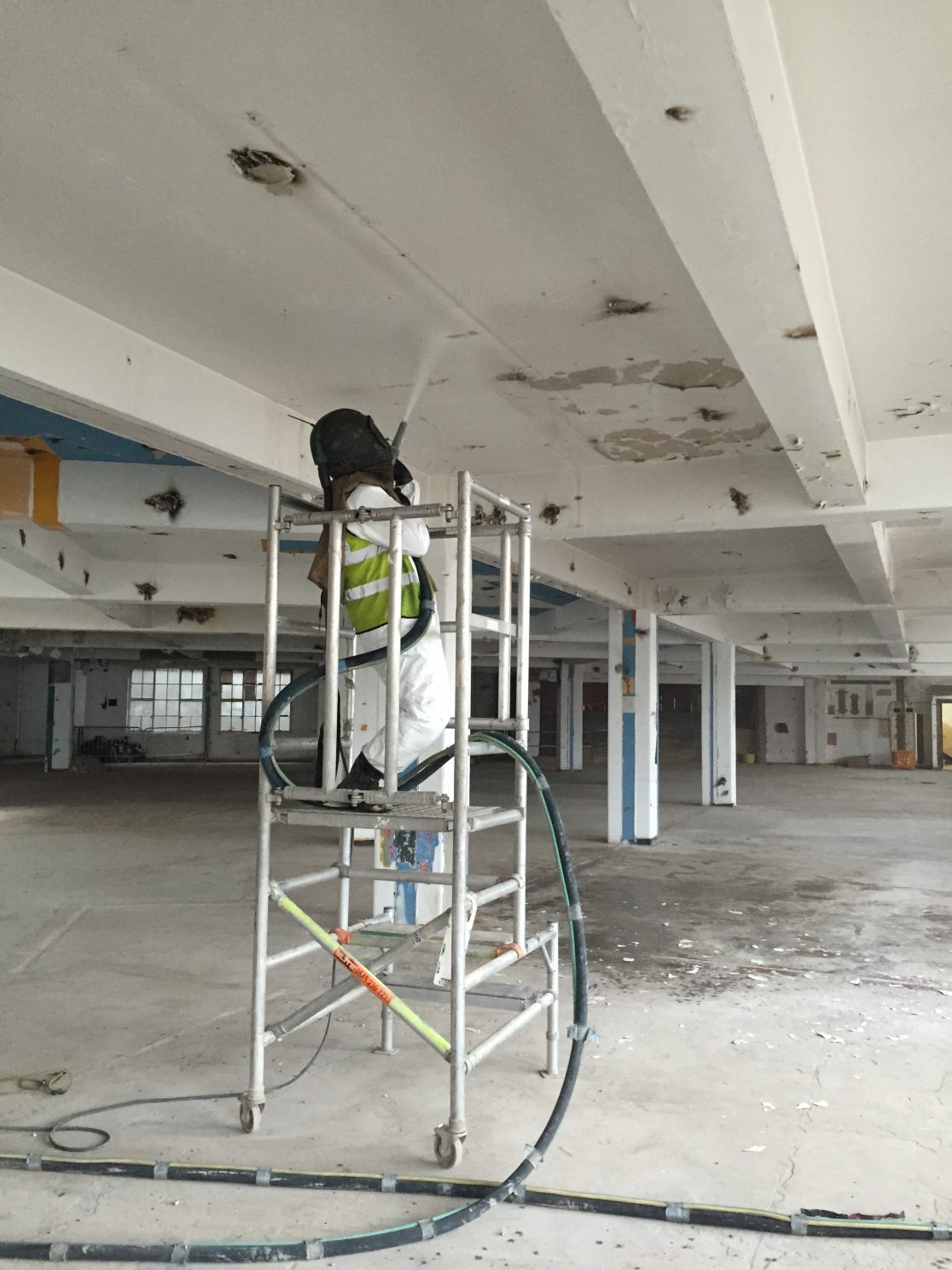 Herbal House Surface Cleaning and Lead Paint Removal