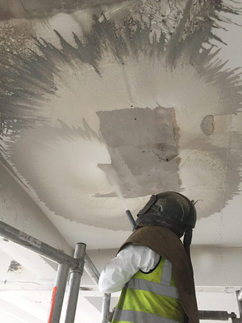 Herbal House Surface Cleaning and Lead Paint Removal