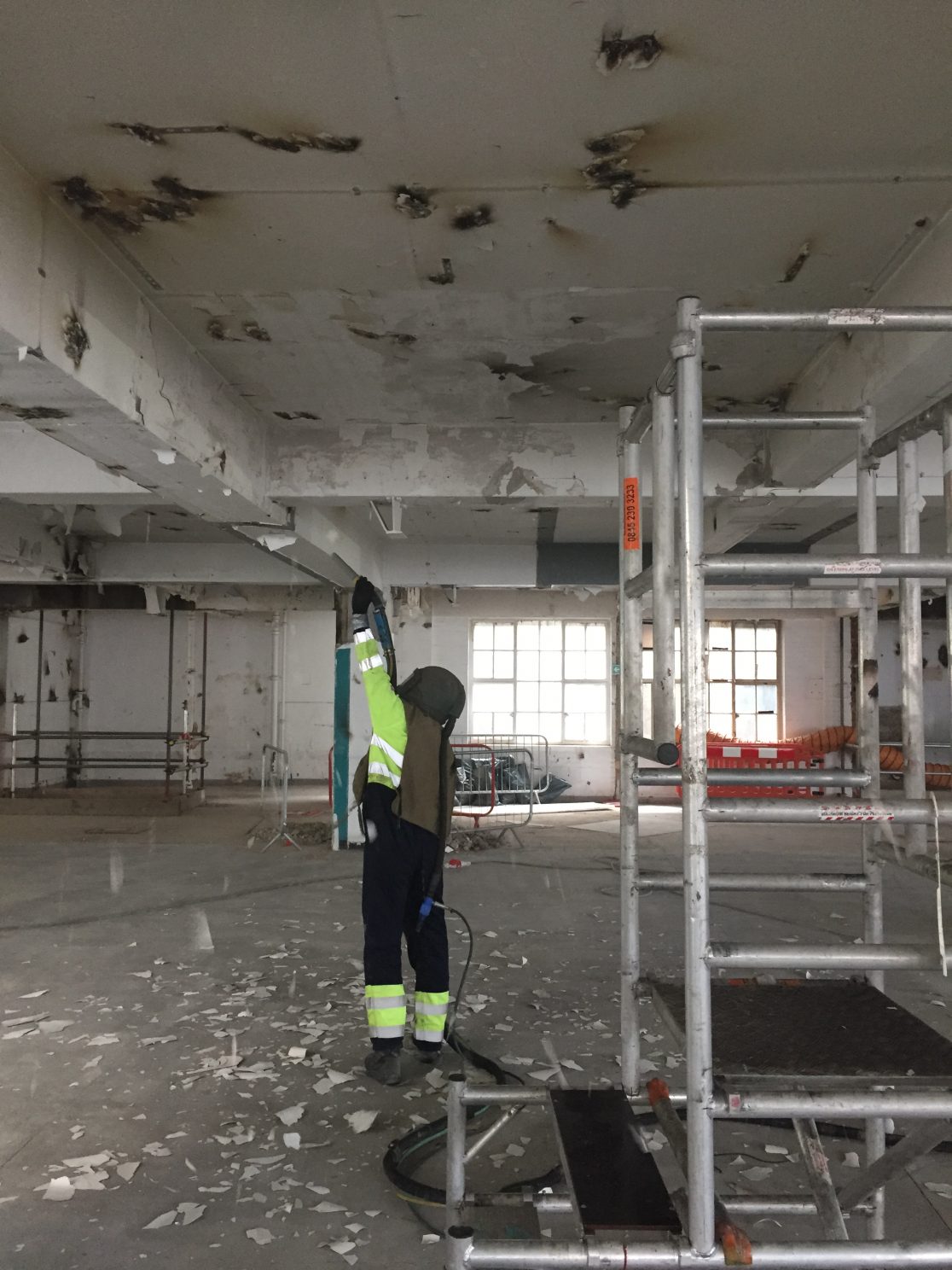 Herbal House Surface Cleaning and Lead Paint Removal